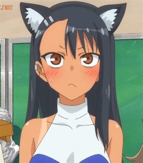 xxx nagatoro|Nagatoro cat